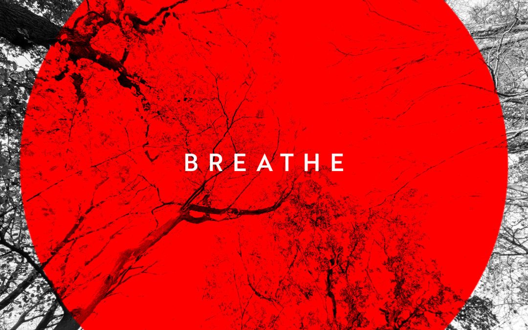 Brooke Promo Video